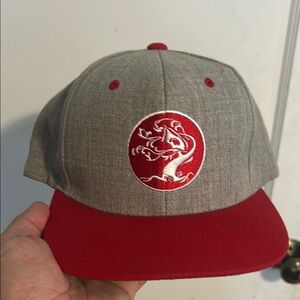 Treehouse Brewing Grey and Red SnapBack.